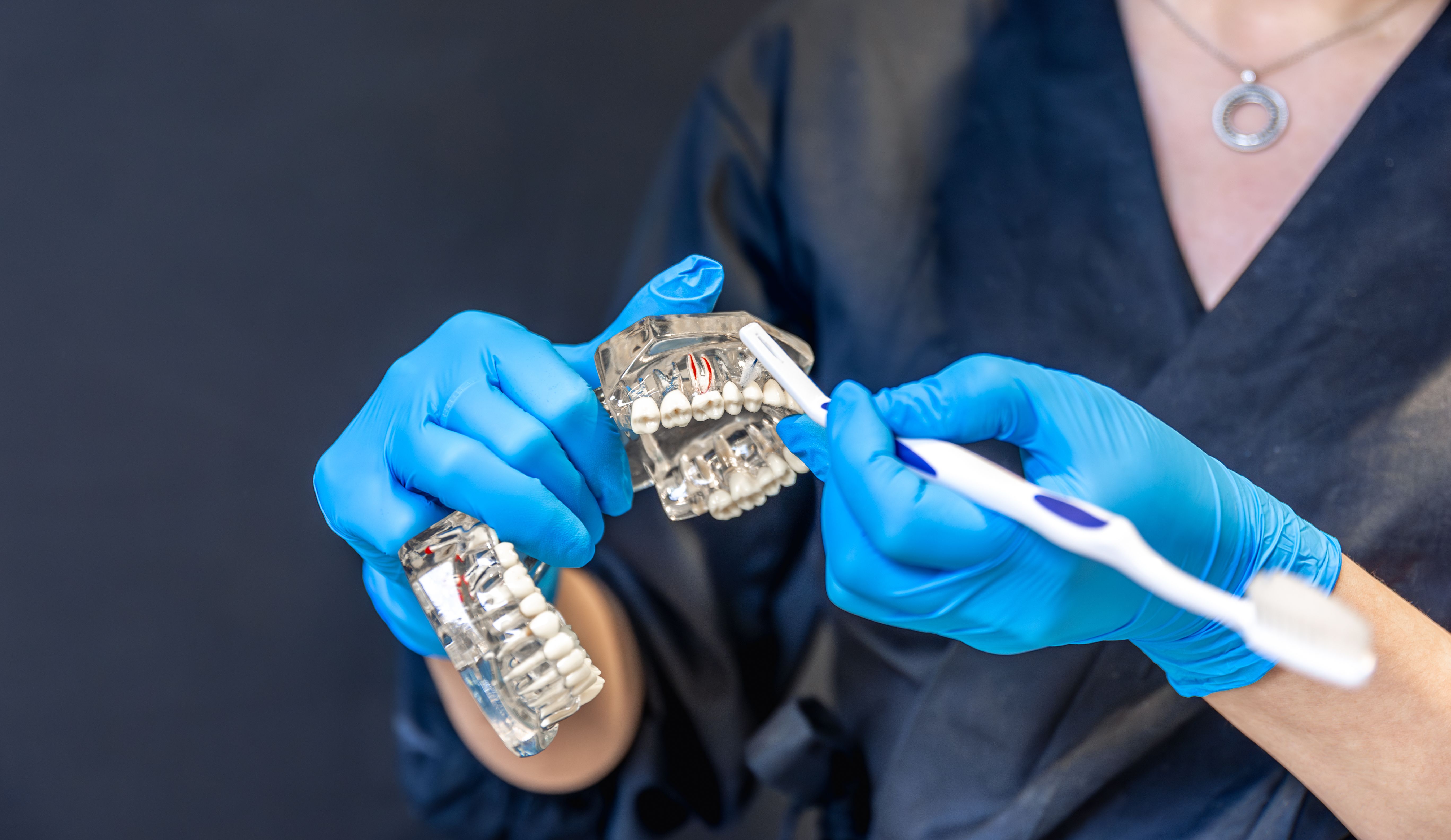 female-dentist-holding-dental-model-hands-concept-dentistry-dental-treatment